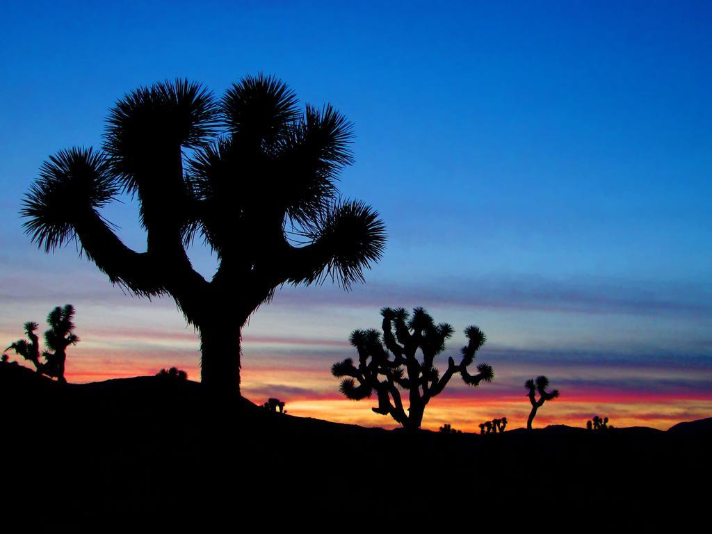 Raintree'S Cimarron Golf Resort Palm Springs Cathedral City Exterior foto